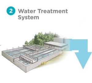 Trust the Tap Source Water protection graphic of a water treatment system