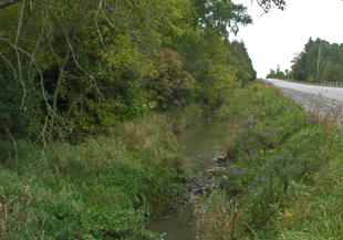 A creek flows along a roadside ditch