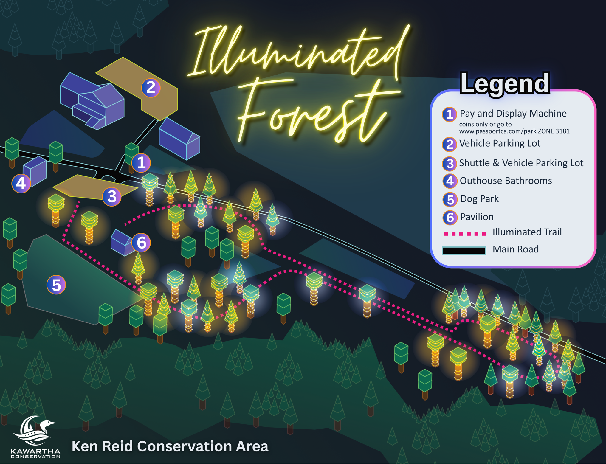 illuminated forest illustrated trail map