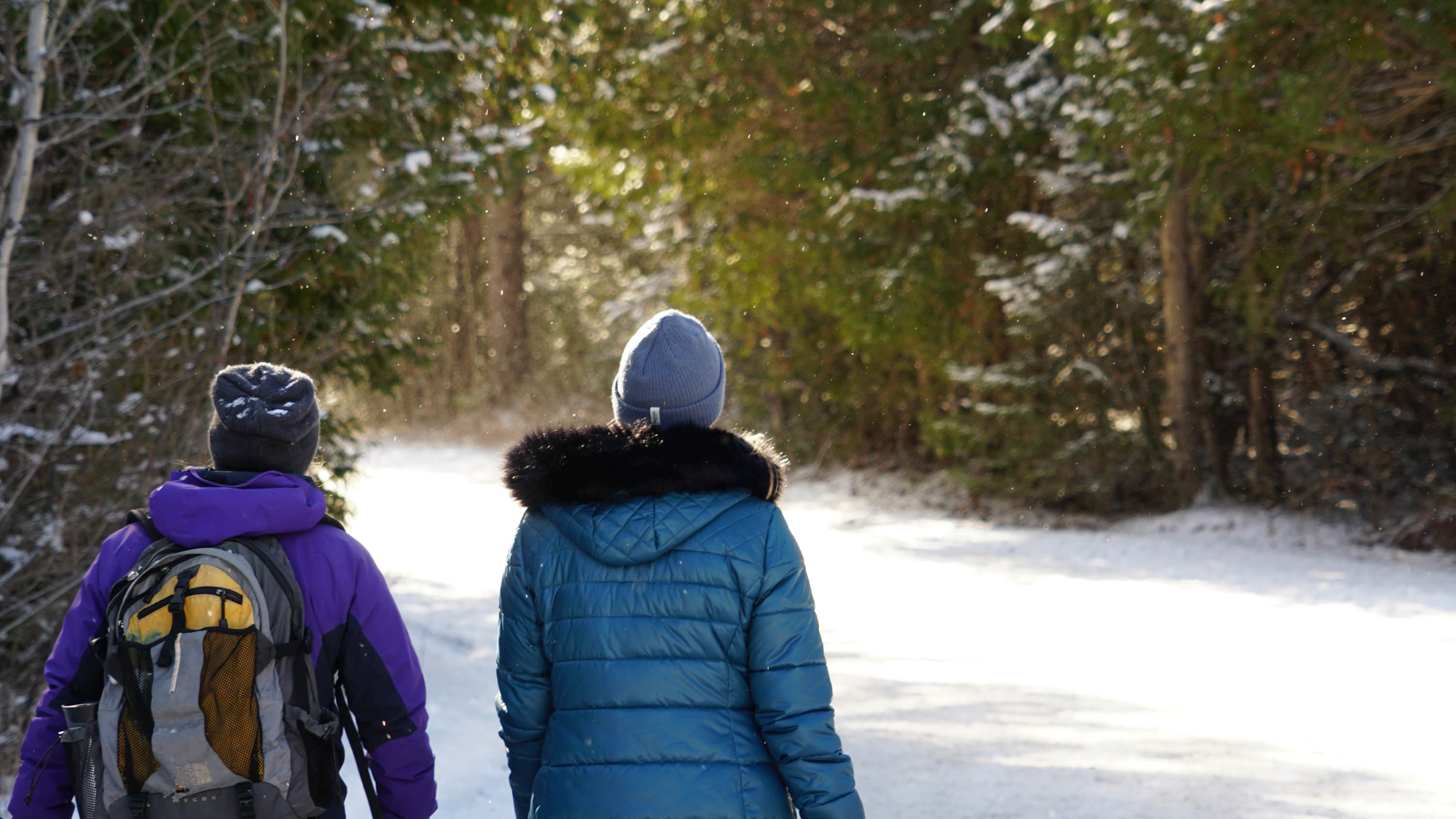 Two people walking along a trail in winter.