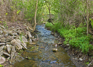 A shallow creek flows alongside rocks and grass through a culvert