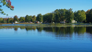 Quiet, blue lake with cottages and aquatic plants