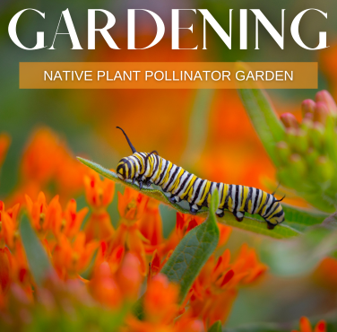 Pollinator Garden Guide cover with caterpillar on green leaf and orange flower