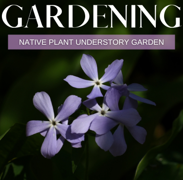 Understory Garden Guide cover with purple flower in the shade