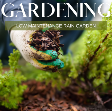 Rain Garden Guide cover with a glove moving brown mulch onto the ground