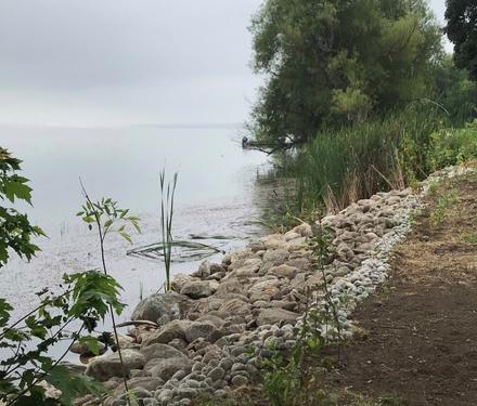 Large rocks placed at naturalized shoreline 