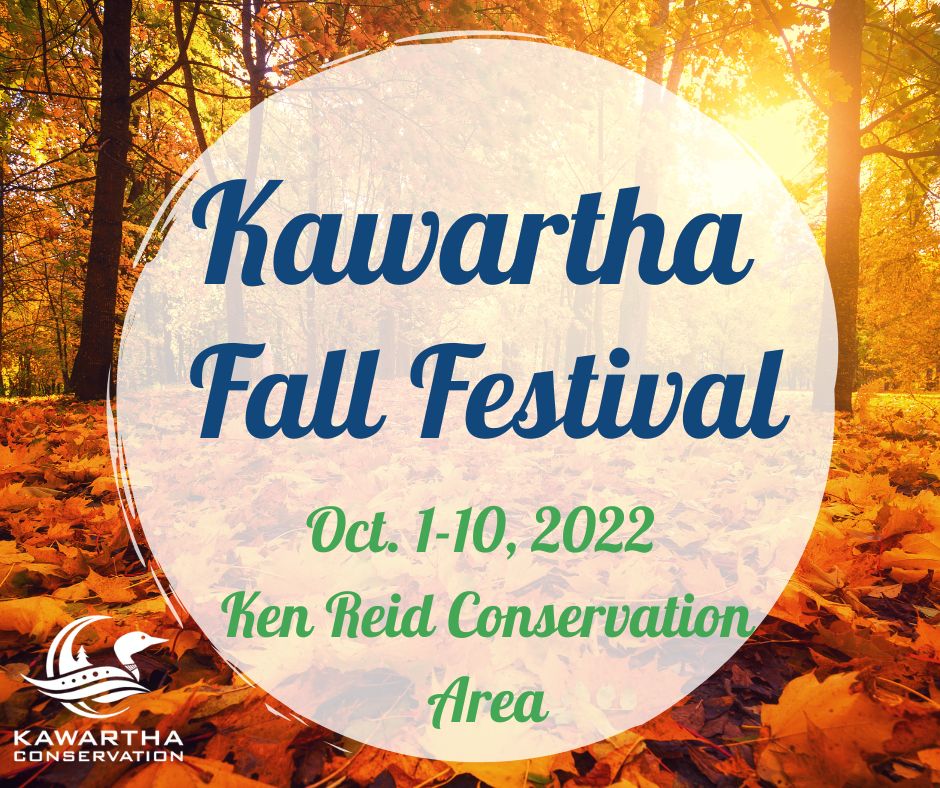 Kawartha Fall Festival will offer activities for the whole family