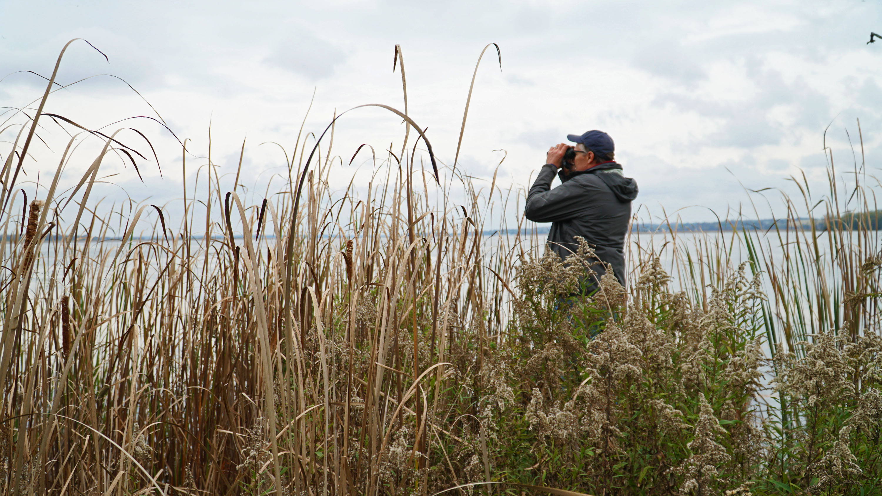 Rob Stavinga looking looking through binoculars at waterfowl