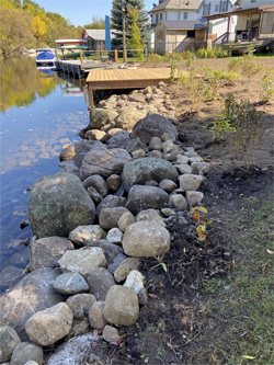 Shoreline restoration project along the Scugog River