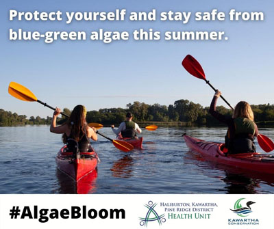 Blue green algae social media campaign graphic, with people kayaking.