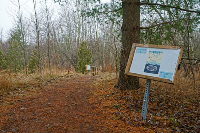 A forested trail with a sign containing the first page of 'Over and Under the Snow'