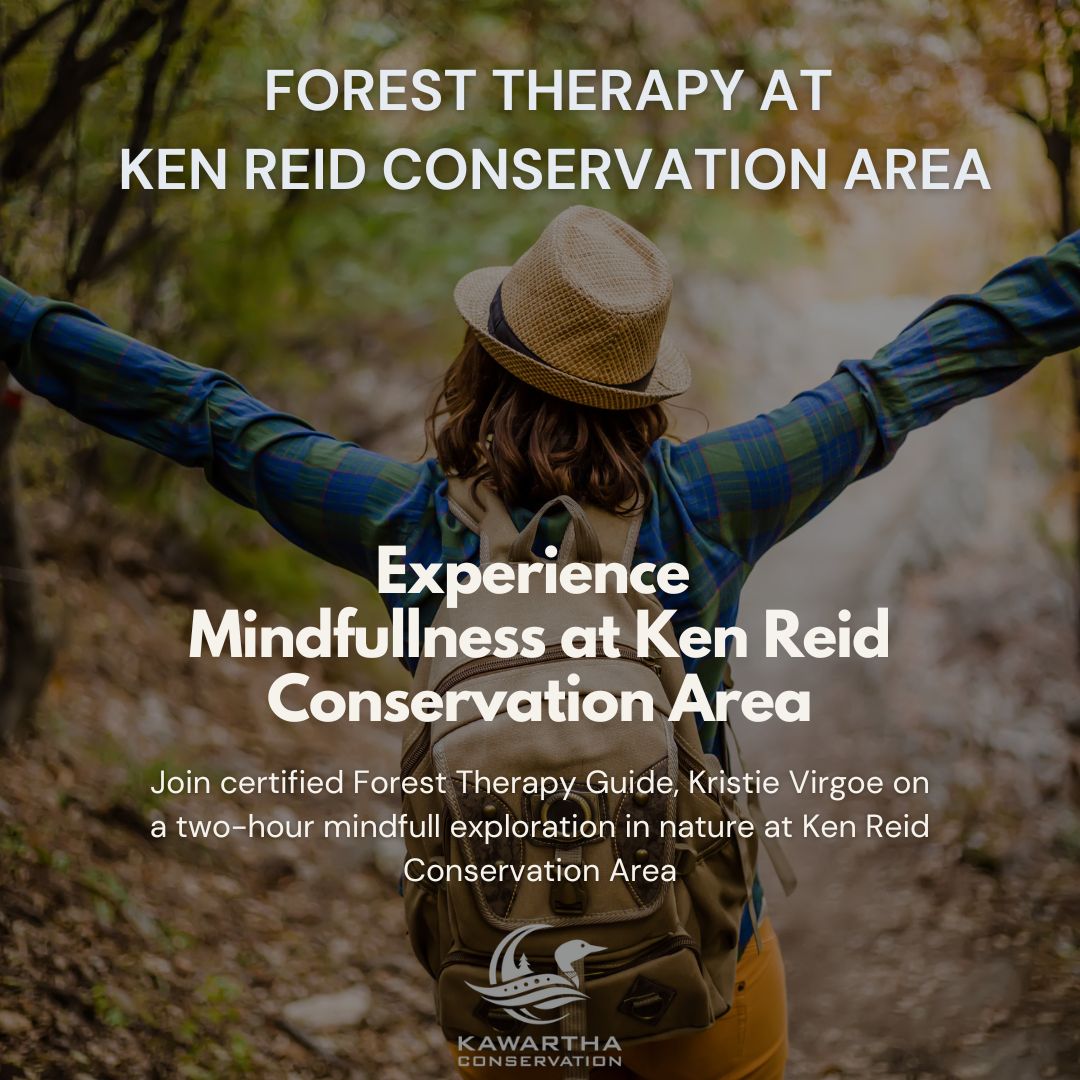 Graphic promoting forest therapy at Ken Reid Conservation Area