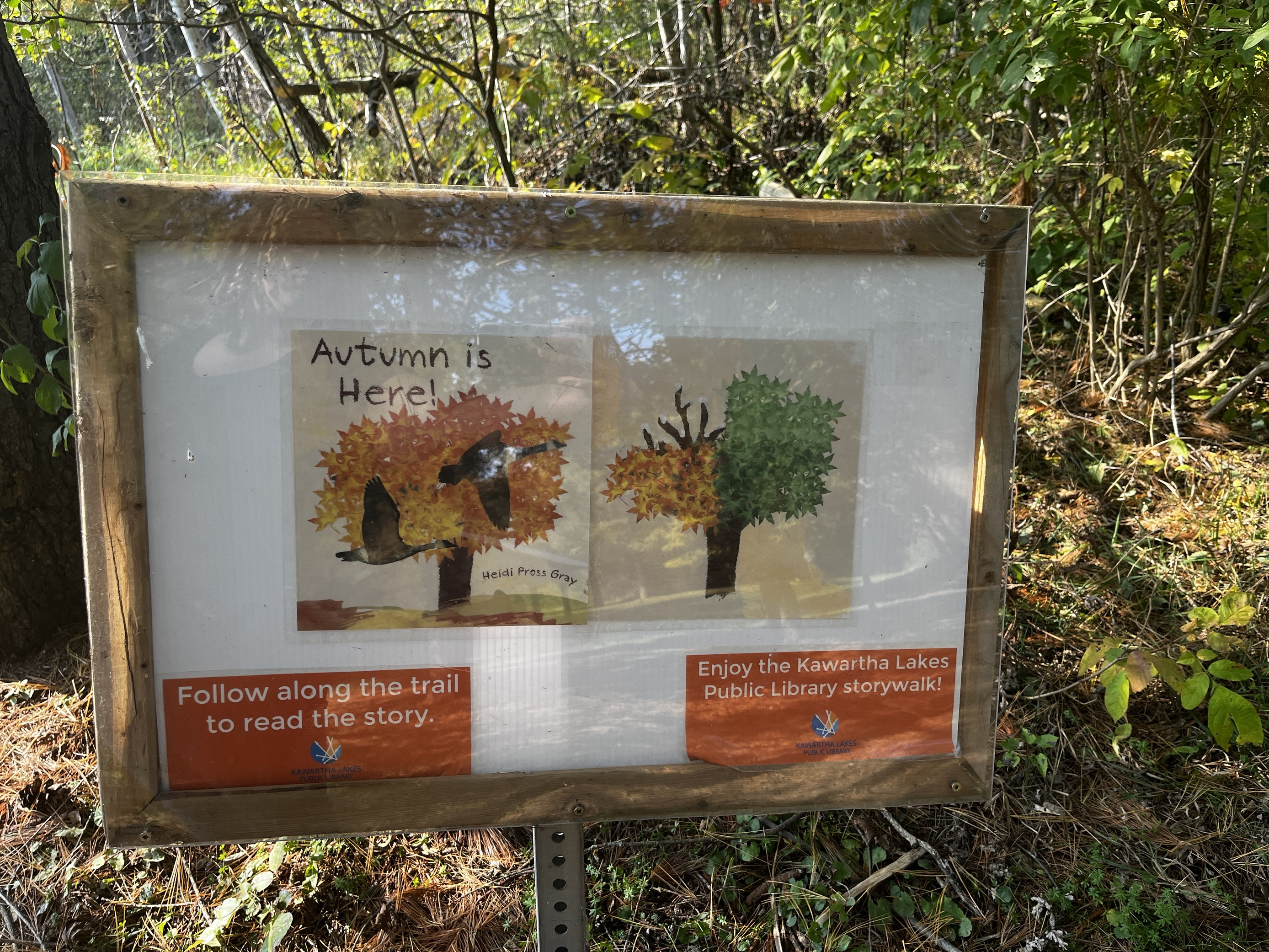 A page of the October Storywalk Trail book for October at Ken Reid Conservation Area.