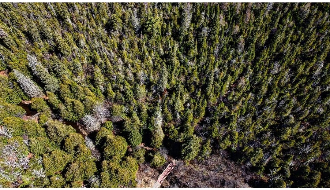Aerial view of Pigeon River Headwaters Conservation Area