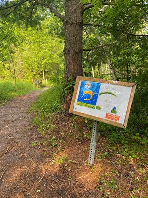The first page of 'Giraffes Can't Dance' featured along a wooded trail