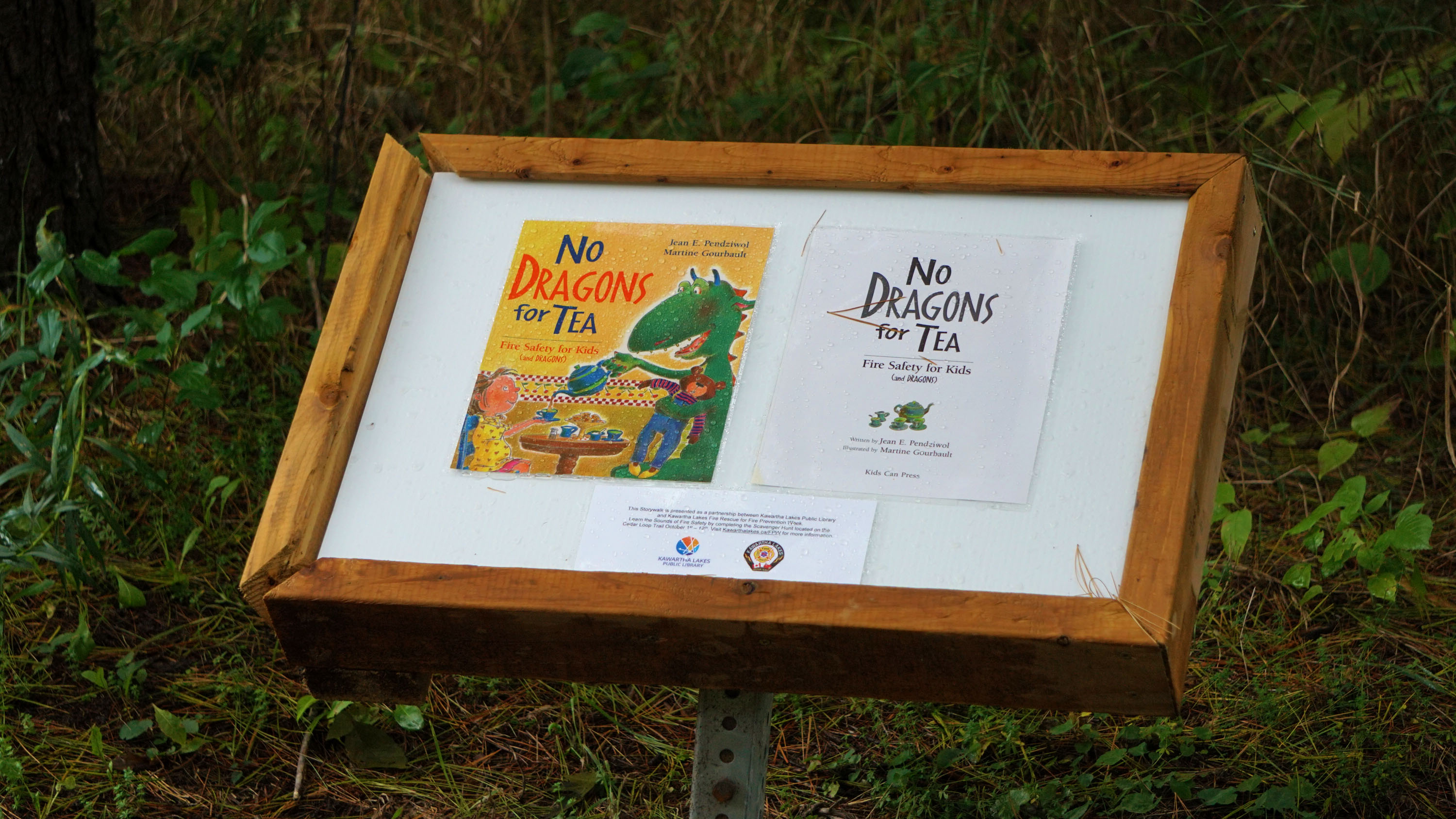 'No Dragons for Tea' at Ken Reid Conservation Area.