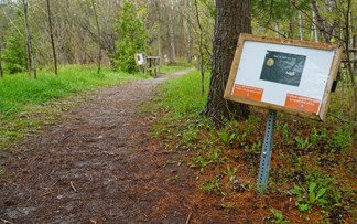 A forested trail with a sign containing the first page of 'This is Not My Hat'