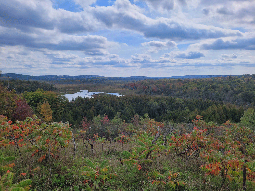 A view looking south from the ridge at Windy Ridge Conservation Area