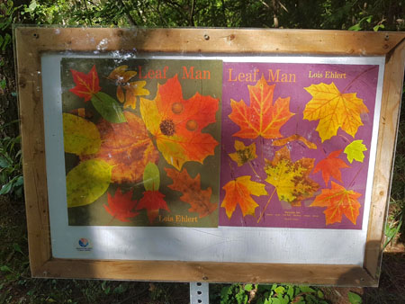 Title page for Leaf man along the story walk trail