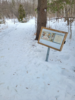 A snow covered trail leading into the forest with book pages displayed on the right of the trail