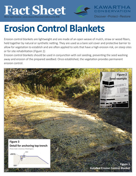 Erosion Control Blanket Fact Sheet Thumbnail