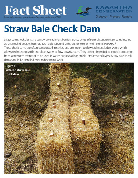 Straw Bale Check Damn Fact Sheet thumbnail