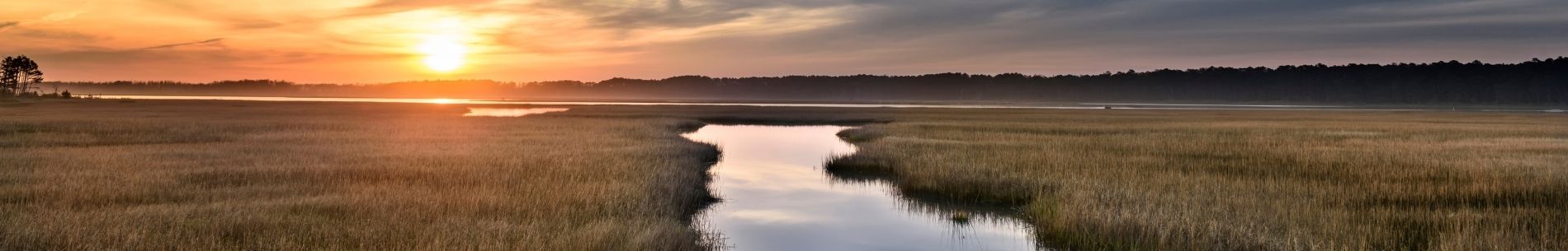 Looking out over a marsh at sunset or sunrise with sun reflecting in water