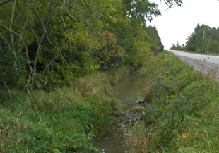 McLarens Creek A creek flows along a roadside ditch