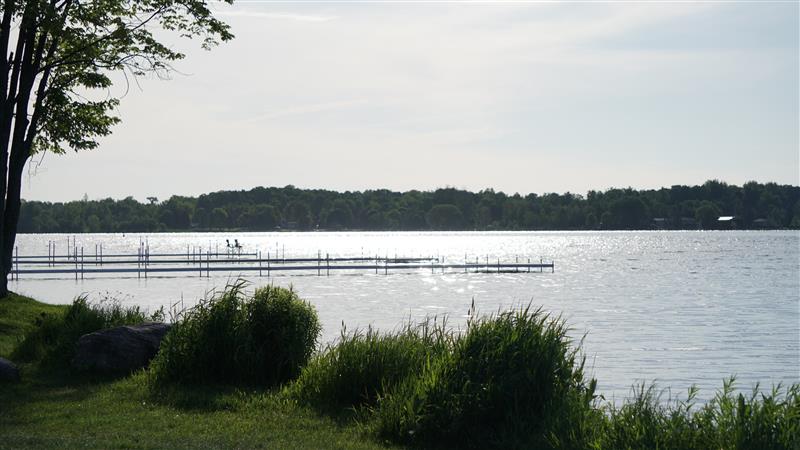 A photo of the Lake Scugog shoreline in 2024.
