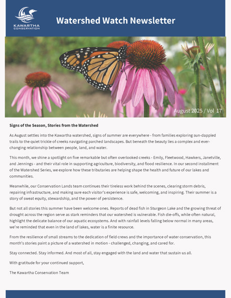 The cover of the August edition of the Watershed Watch Newsletter