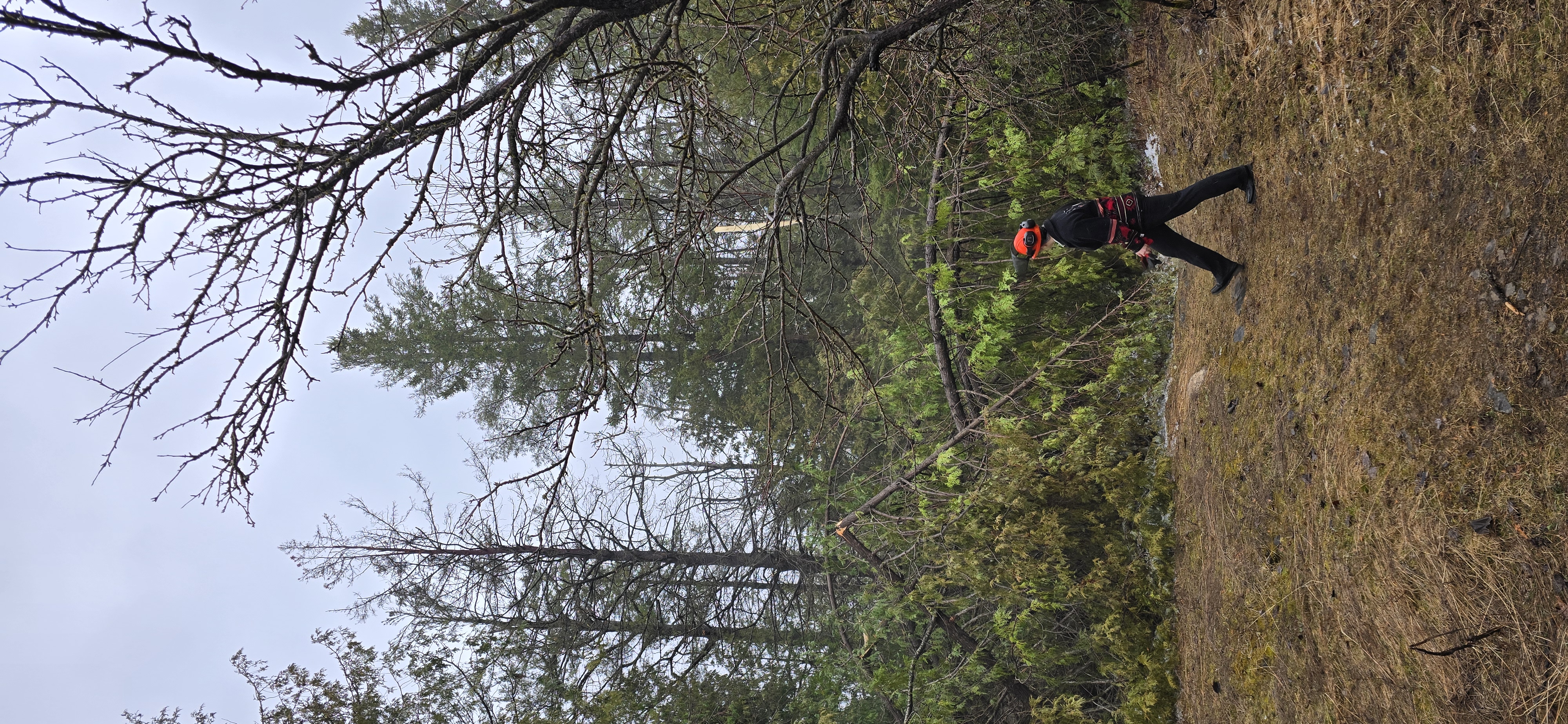 Kristie Virgoe, Interim Director of Planning and Development Services, walks past the Woodland Trail, which has been closed due to storm damage.