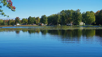 Pigeon Lake Quiet, blue lake with cottages and aquatic plants