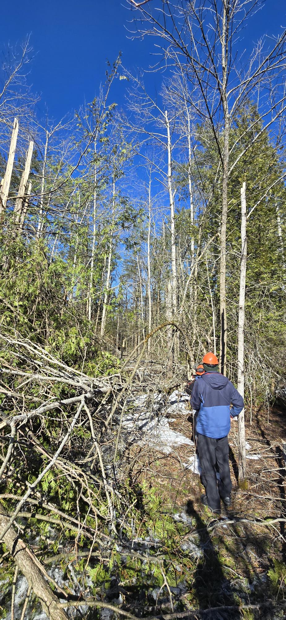 Kawartha Conservation staff work to clear downed trees and branches from trails at Ken Reid Conservation Area